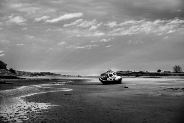 Alnmouth April 2024-0664-2