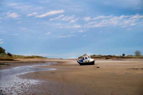 Alnmouth April 2024-0664