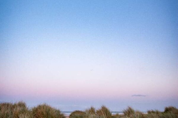 Alnmouth April 2024-0752